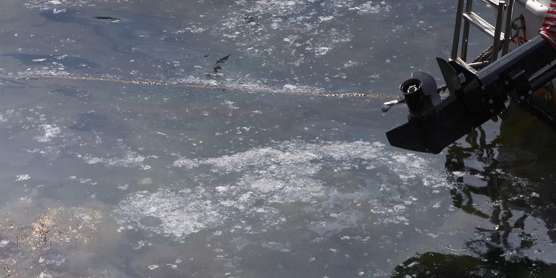 Öztürk'ten müsilaj uyarısı: Deniz beni temizleyin diye bağırıyor