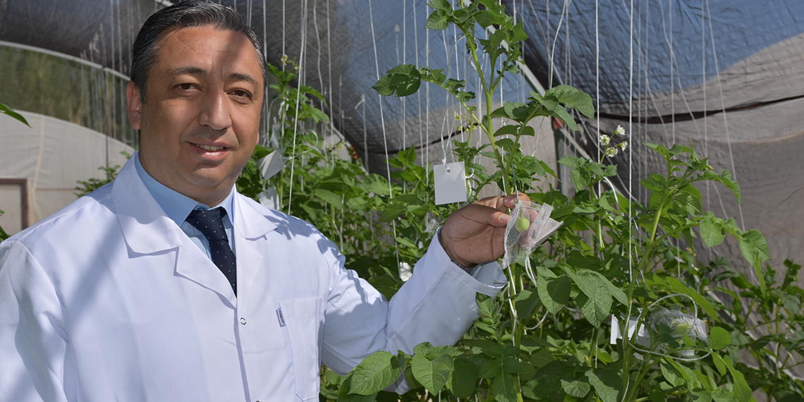 Patates Araştırma Enstitüsü’nden 10 yerli ve milli patates