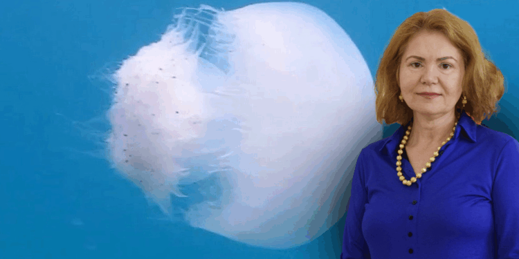 Profesörden denizanalarına temas etmeyin uyarısı