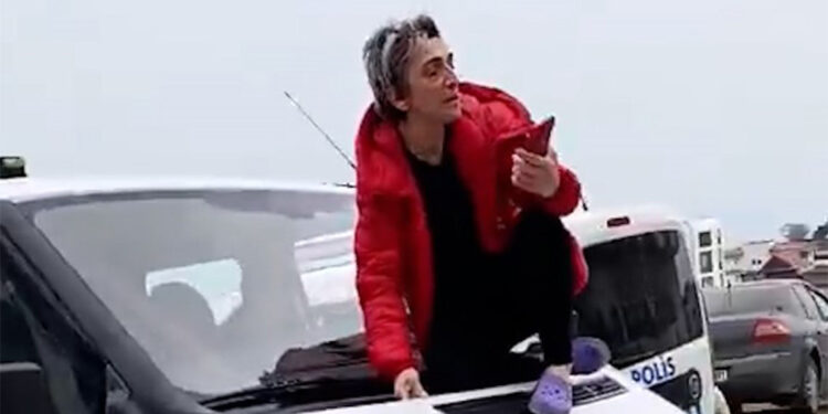 Sahipsiz hayvanları toplayan zabıta görevlilerine isyan etti