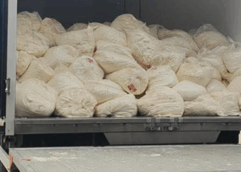 Sakarya'da son tüketim tarihi geçmiş 23 ton lor peyniri ele geçirildi