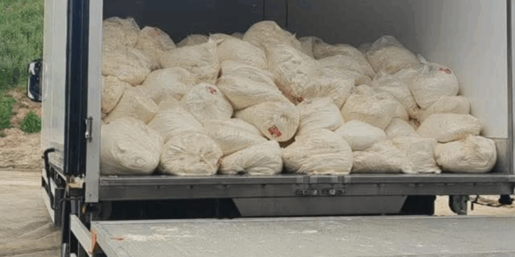 Sakarya'da son tüketim tarihi geçmiş 23 ton lor peyniri ele geçirildi