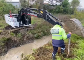 Sapanca Gölü'ne akan derede görülen atık madde temizlendi