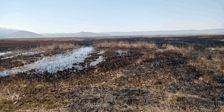Sultan Sazlığı'ndaki yangın 22 saatte söndürüldü
