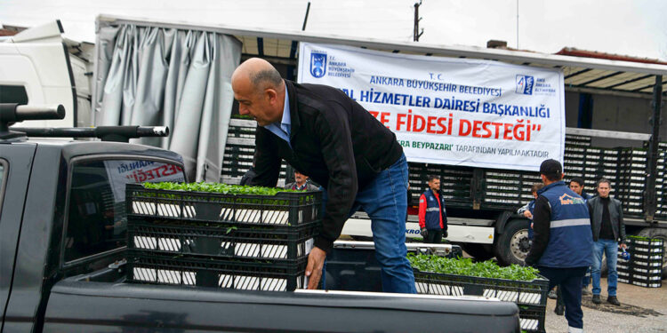 Üreticilere 1 milyondan fazla fide dağıtıldı