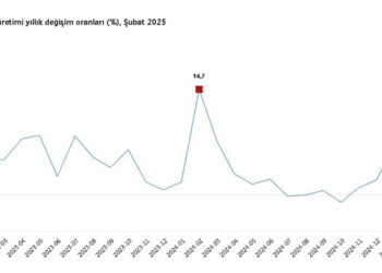 Şubat ayında hizmet üretimi yüzde 2 azaldı