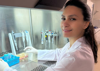 Testis kanseri erken tanı kiti geliştirildi