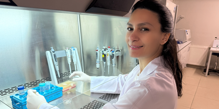 Testis kanseri erken tanı kiti geliştirildi