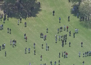 Texas'ta lisede silahlı saldırı: 4 yaralı