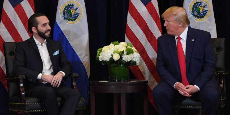 Trump ve Bukele, sınır güvenliği konusunda iş birliği mesajı verdi