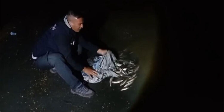 Van'da kaçak avlanan 60 kilo canlı balık ele geçirildi