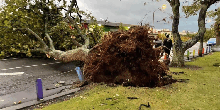 Yeni Zelanda'da fırtına elektrik kesintisine neden oldu