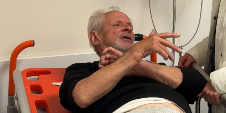 Zeytinlikte ayı saldırısında yaralandı