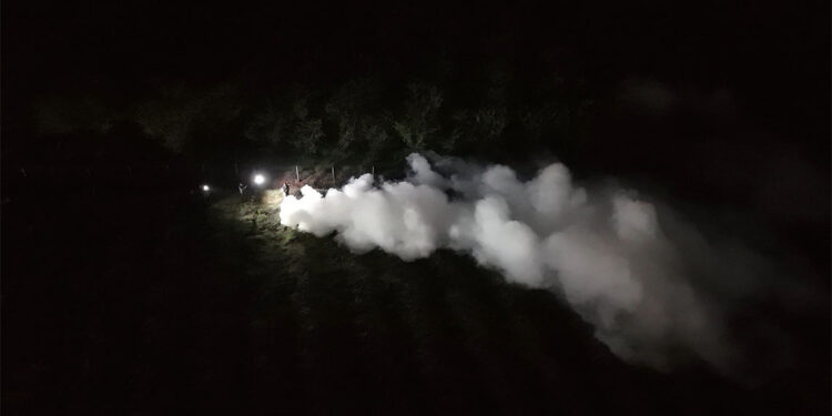 Zirai don fındığı vurdu