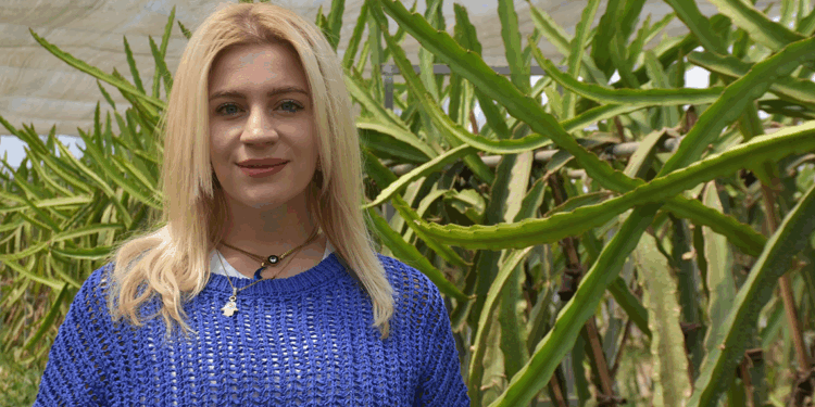 Zayıflamak için başladığı meyve serüveni girişimciliğe dönüştü