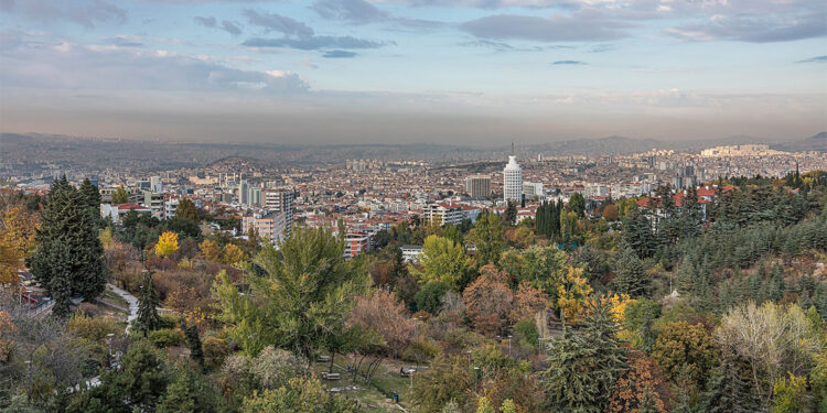 Ankara, benim gözümden: Beton ormanında bir kedinin senfonisi