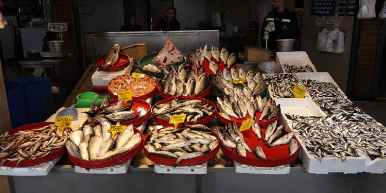 Av yasağına sayılı günler kala balık tezgahlarında çeşit bolluğu