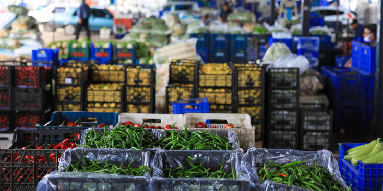 Mart ayında tarım ürünleri üretici fiyatları yüzde 6,91 arttı