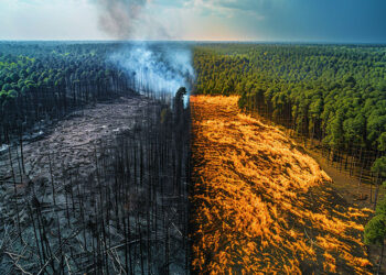 İklim krizi ve Türkiye: Geleceğimiz tehdit altında mı?
