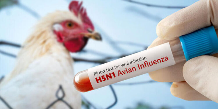 Meksika'da H5N1 kaynaklı ilk ölüm