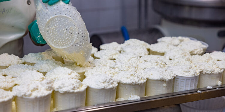 50 ton eritme peyniri imha edildi