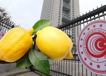 Limon ihracatı geçici olarak durduruldu
