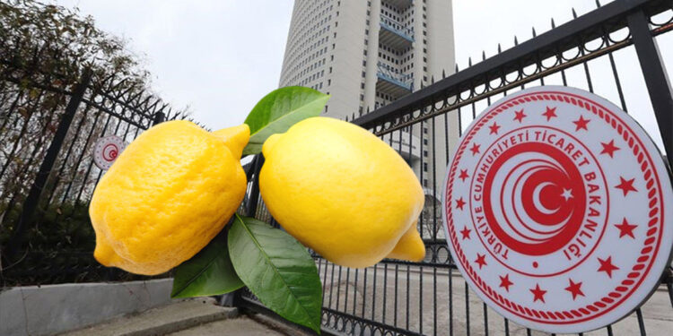 Limon ihracatı geçici olarak durduruldu