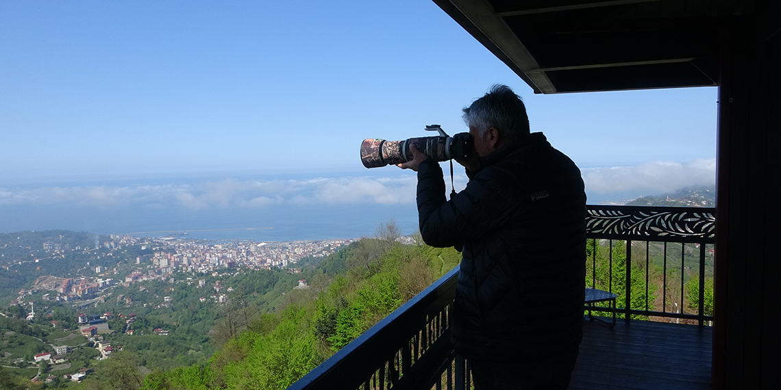 Rize'de Kafkaslar'a göç eden 12 kuş türü gözlemlendi
