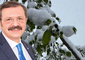 Zirai don tarımsal üretimde ciddi hasara yol açtı