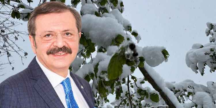 Zirai don tarımsal üretimde ciddi hasara yol açtı