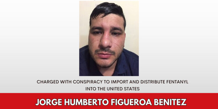 Bir dizi federal suçtan aranan kartel üyesi öldürüldü