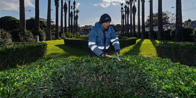 Kültürpark'a daha fazla yeşil alan kazandırılmalı