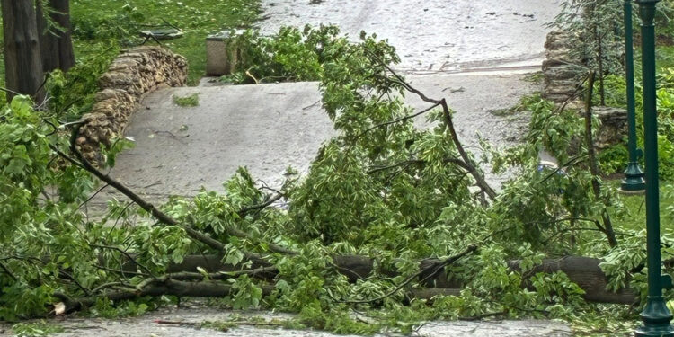 ABD'de kasırga ve fırtına: 21 kişi hayatını kaybetti