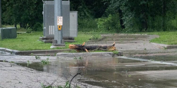 ABD'de fırtına nedeniyle hayatını kaybedenlerin sayısı 29'a yükseldi