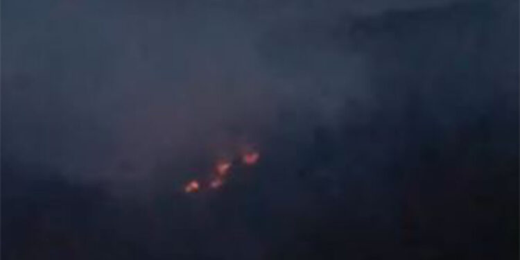 Adana'da iki ayrı noktada çıkan orman yangını söndürüldü