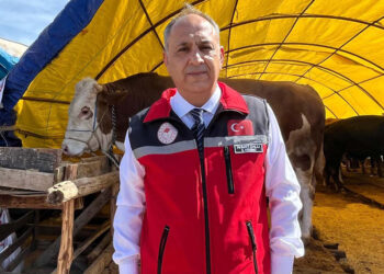 9 hayvan pazarında kurbanlıklar satışa sunuldu