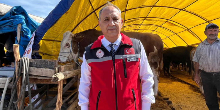 9 hayvan pazarında kurbanlıklar satışa sunuldu