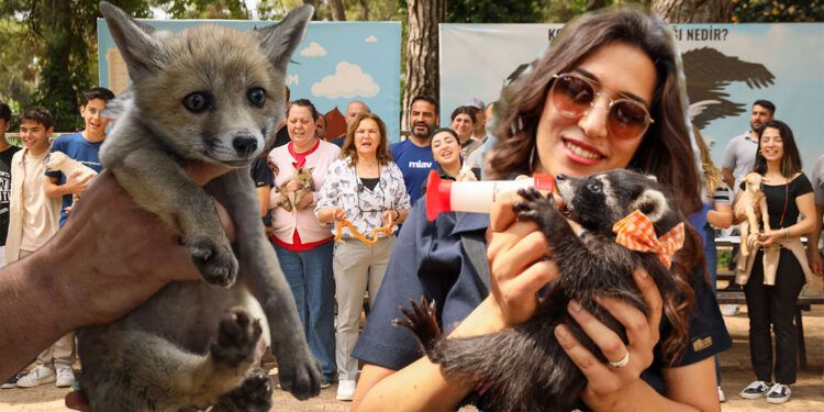 Annesi olmayan hayvanlarla 'Anneler Günü' kutlaması
