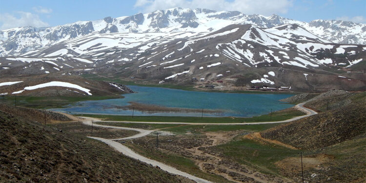 Eğrigöl Yaylası'nda bu bahar ilk kez çiçek açmadı