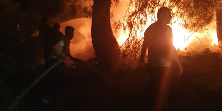 Isınmak için yaktığı ateş orman yangınına neden oldu