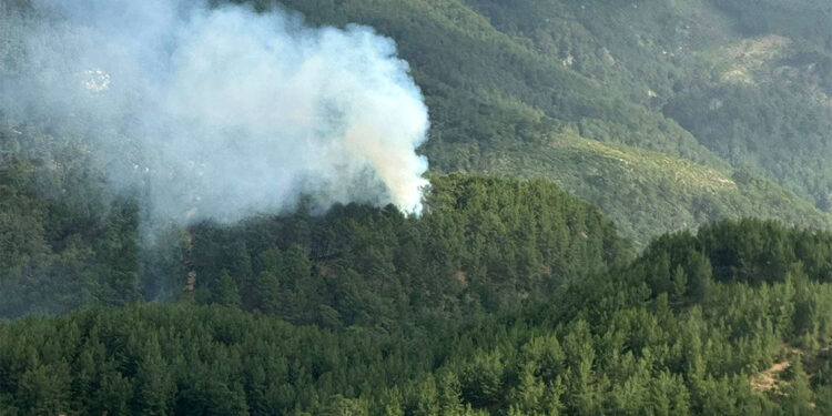 Kumluca'da çıkan yangın kontrol altına alındı