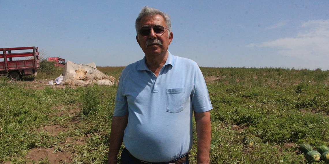 Adana'da sezonun ilk karpuz hasadı başladı; tarlada kilosu 7 TL