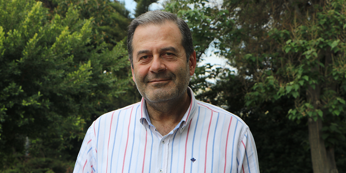 Adana'da tarım arazilerinde dolu zararı; üreticiler destek istiyor