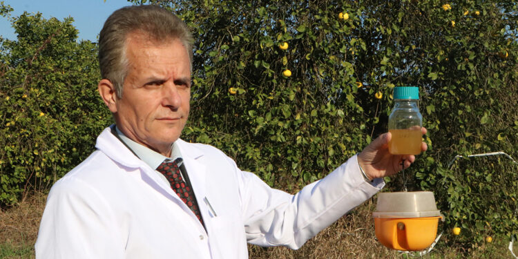 Akdeniz meyve sineğine karşı biyolojik ilaç geliştirildi