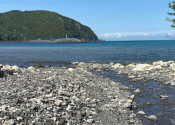Amasra'da denizde kirlilik