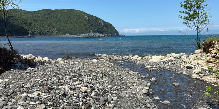 Amasra'da denizde kirlilik