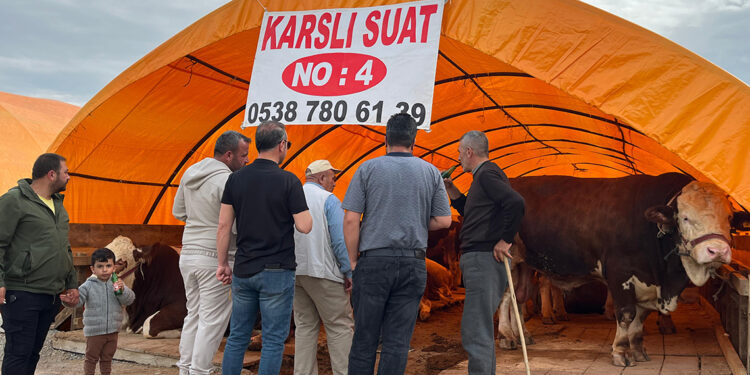 Ankara'da kurban pazarlarında yoğunluk