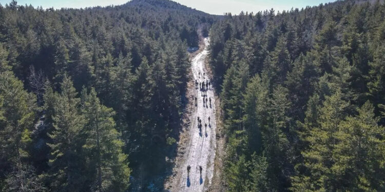 Ankara'da ormanlara giriş yasaklandı