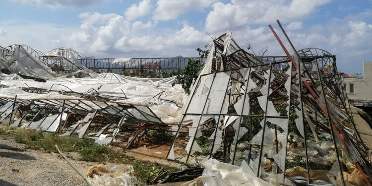 Antalya'da dolunun vurduğu tarım alanlarında yaralar sarılıyor