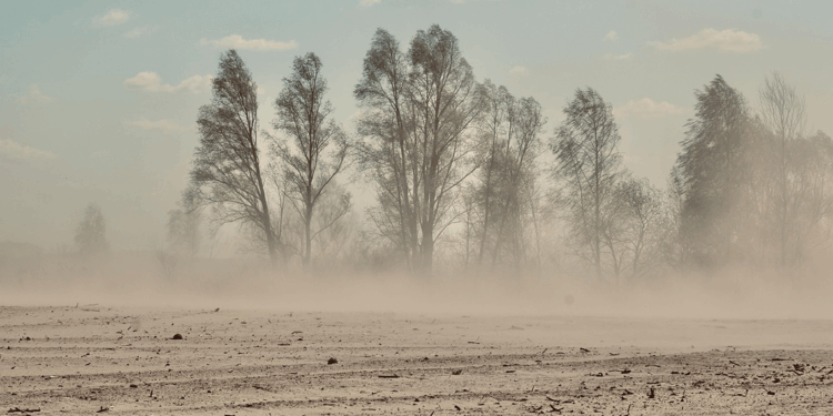 Arap ülkeleri kum fırtınasının etkisi altına girdi